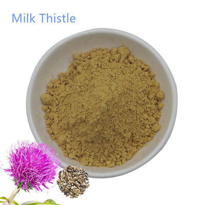 Milk Thistle Extract Water Soluble Silymarin 40% Powder Pure Plant Extracts