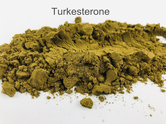 Organic 10% 40% Turkesterone Ajuga Turkestanica Pure Plant Extracts