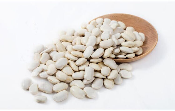 White Kidney Bean Phaseolus Coccineus L Extract Phaseolin 1%-2% For Weight Loss