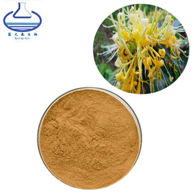 Honeysuckle Chlorogenic Acid Extract, het Poeder van het de Bloemuittreksel van Lonicera Japonica